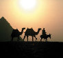 faroutwest001014.jpg